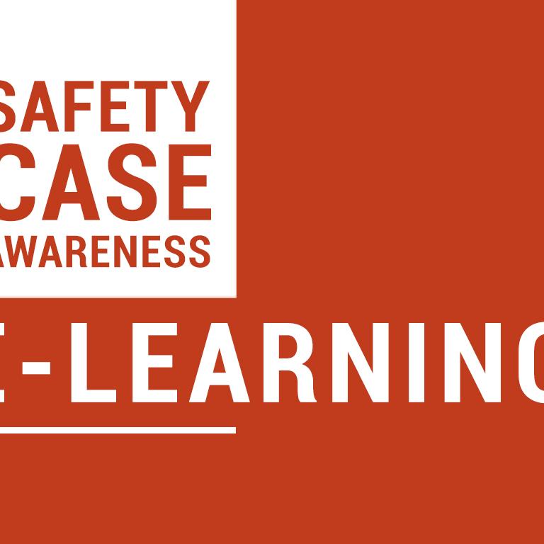Safety Case Awareness